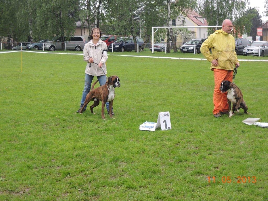 g 1Křenice13