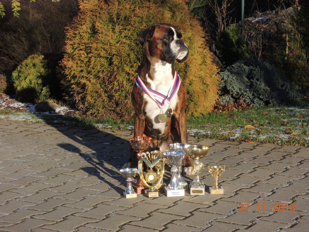 Rok 2013