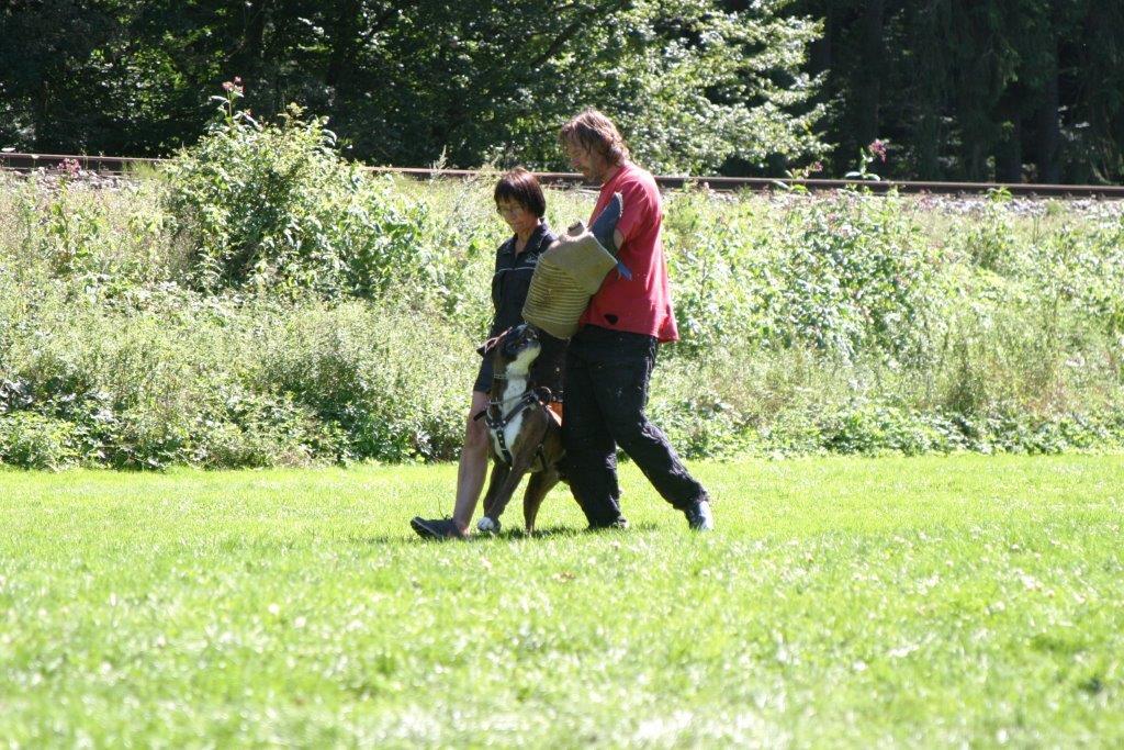 IMG_4075