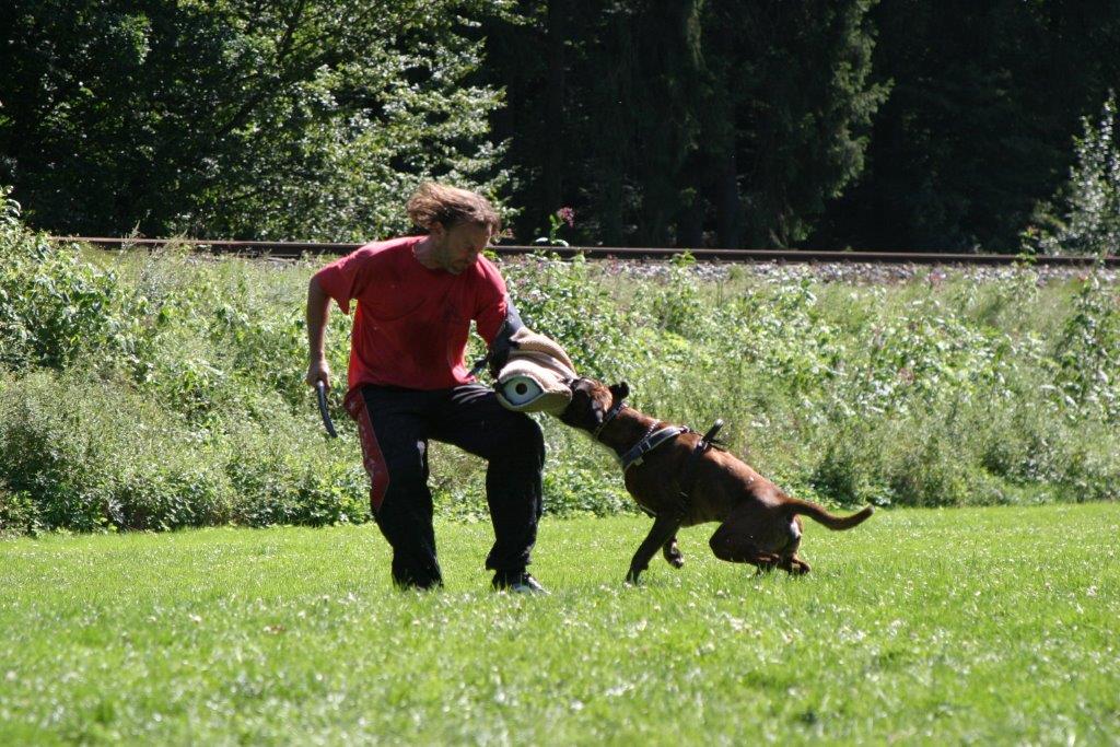 IMG_4082