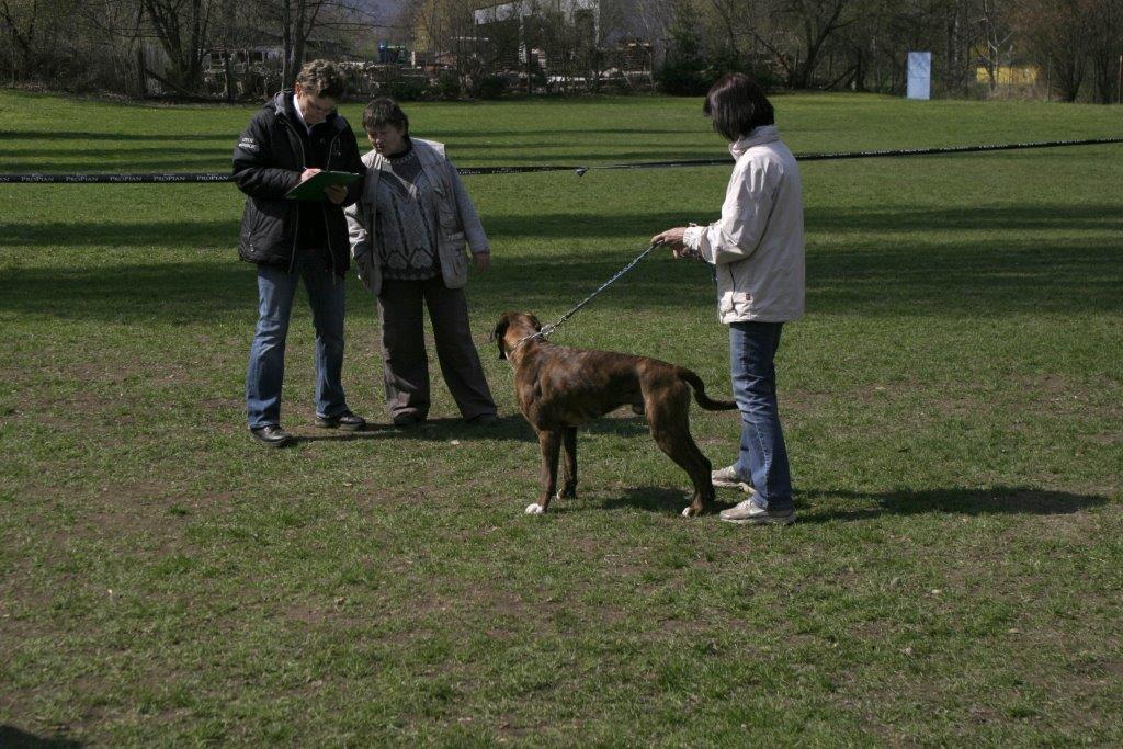 a svod